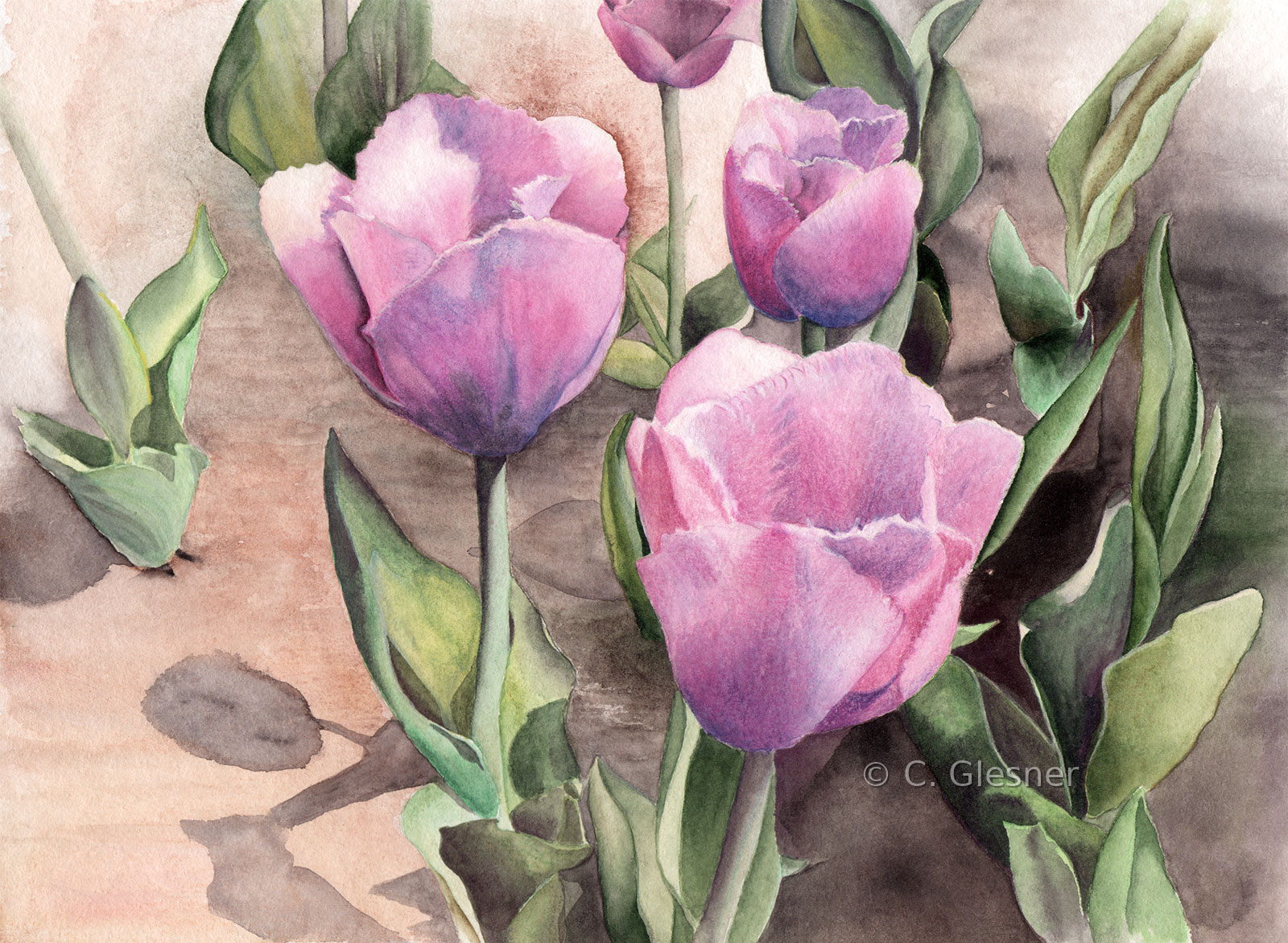 Lila Tulpenfeld, Aquarell