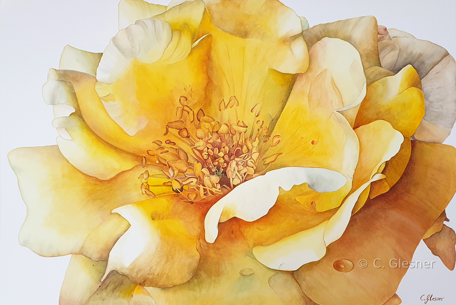 Ellens Rose, gelbe Rose, Aquarell Rose, Großformat, Auftragsmalerei