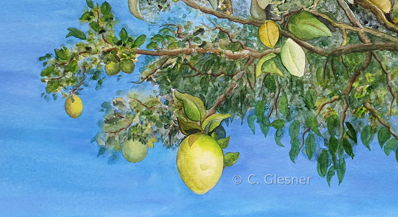 Zitronenbaum, Calpe, Aquarell, Ausschnitt