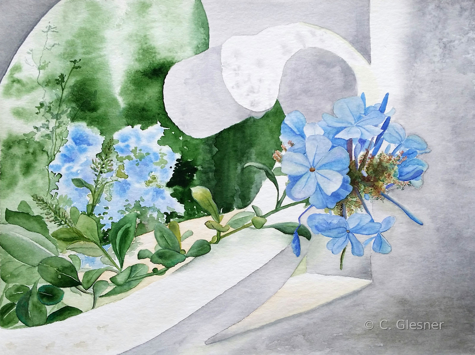 Jazmín del cielo, Calpe, Aquarell
